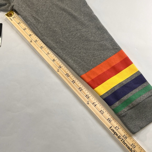 NWT Torrid‎ Cozy Fleece Shift Dress Womens 1X/14-16 Gray Rainbow Sleeve Belt NEW - Picture 14 of 15
